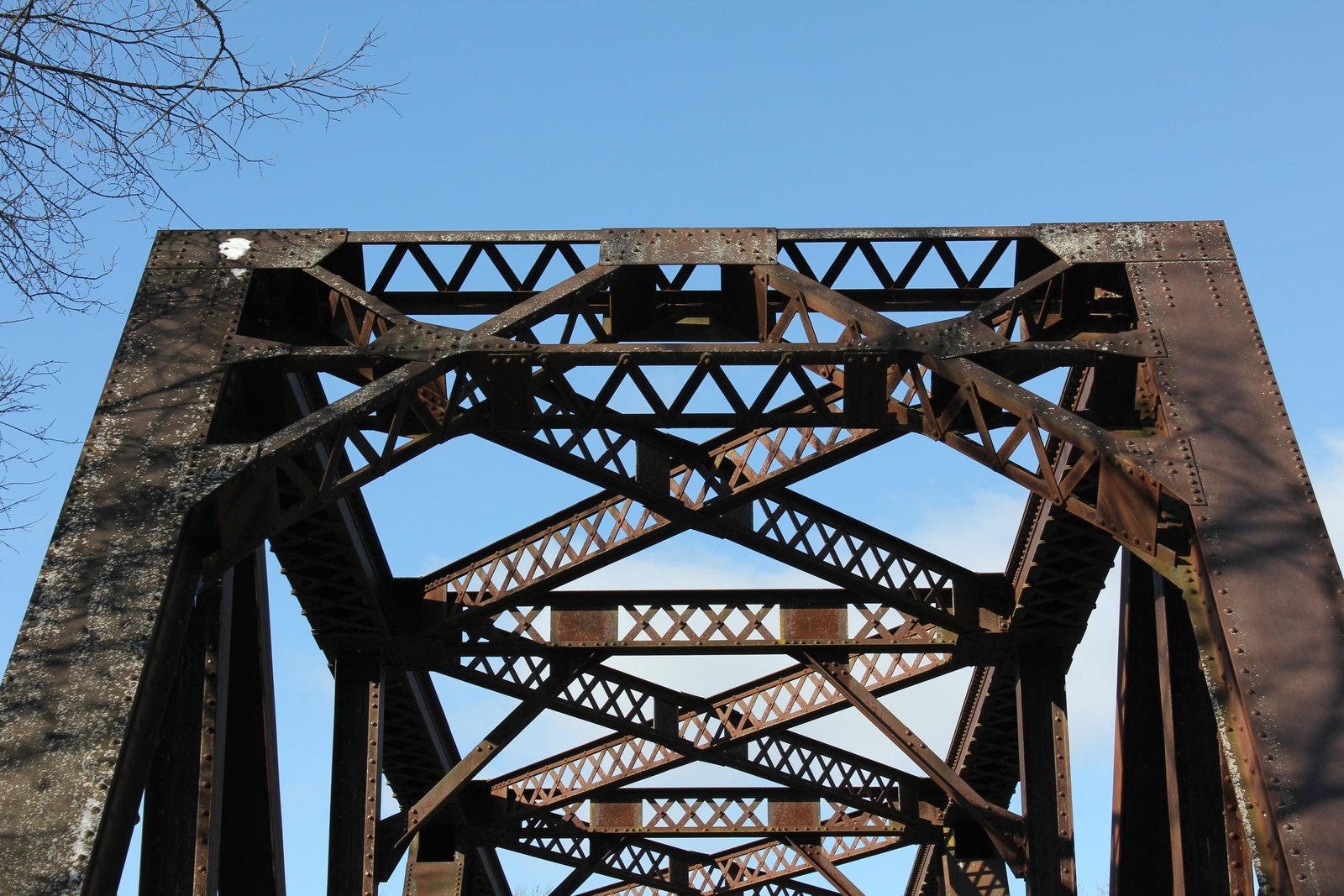Portal bracing
